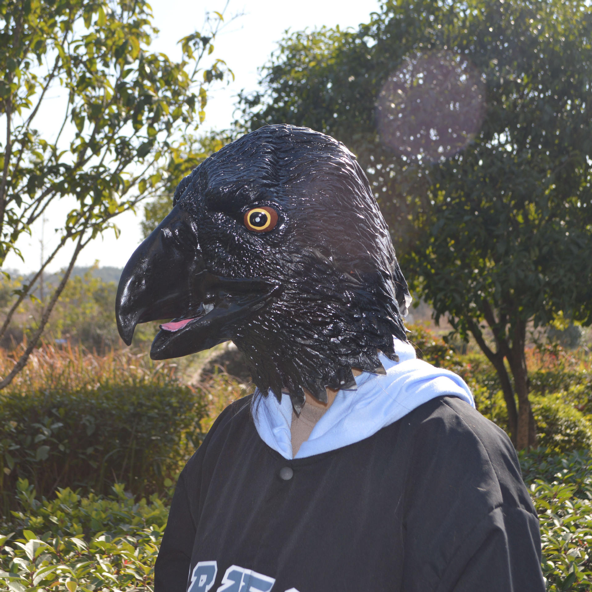 可爱老鹰动物头套面具化妆舞会搞笑乳胶头饰万圣节日派对表演道具