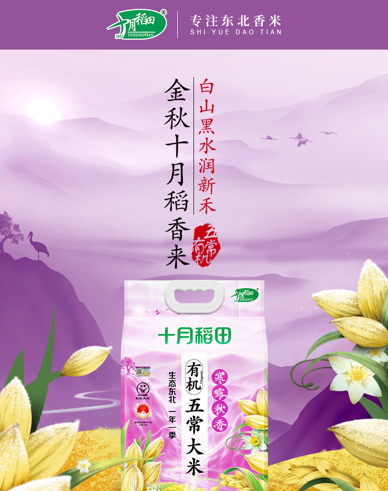 【21年新米】十月稻田 寒露秋香东北有机五常大米5kg10斤