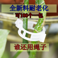 植物固定夹生长夹吊放器嫁接夹西红柿藤条卡扣吊放器黄瓜绑蔓夹子