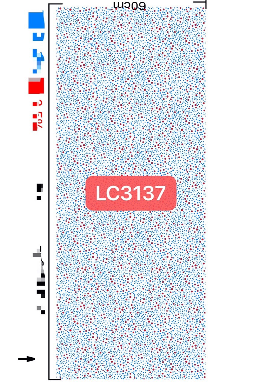 LC3137花型款 婚纱礼服面料 网纱撒金片 喷金花型 面料