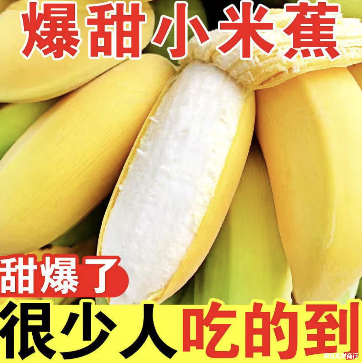 广西香蕉新鲜小米蕉9斤当季水果小香芭蕉苹果蕉自然熟整箱包邮9