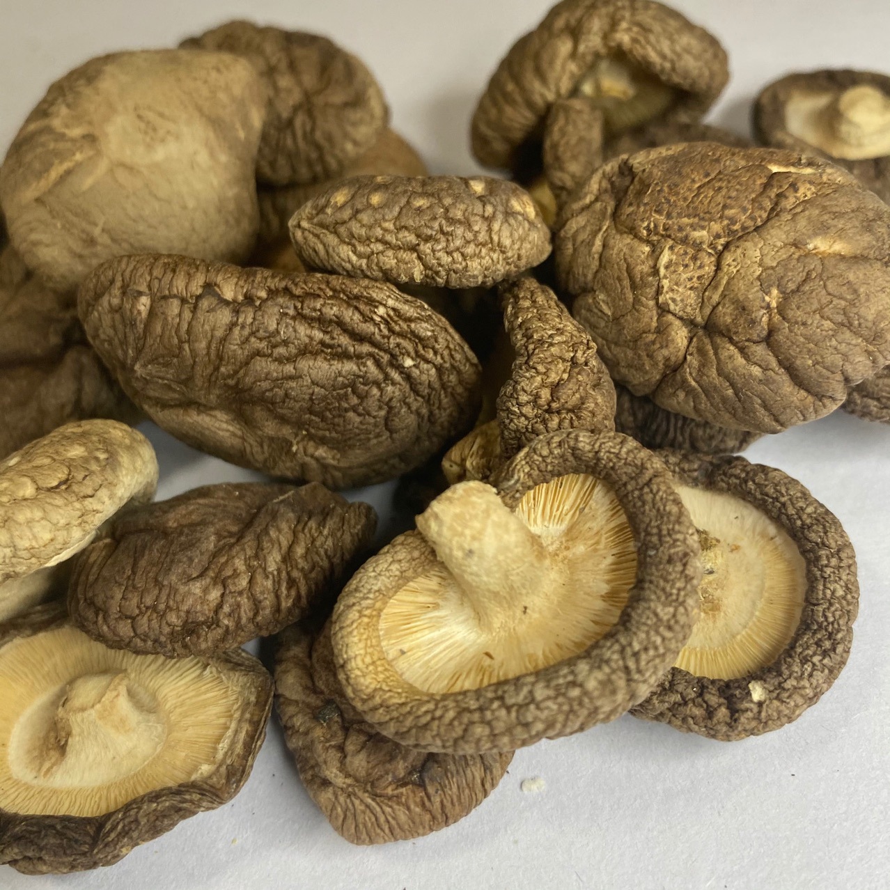 0(cm)种类干香菇品种普通香菇品牌知芝园