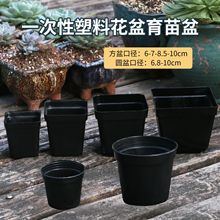 塑料花盆小黑方黑色多肉育苗盆移苗移植专用盆一次性种植杯批发