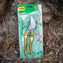 园林工具修枝剪园艺剪刀金把带配件省力家用摘果粗树枝花剪果枝剪