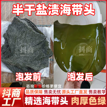半干盐渍海带头干货厚片特级厚新鲜晒干摆摊跑江湖摆地摊货干海带