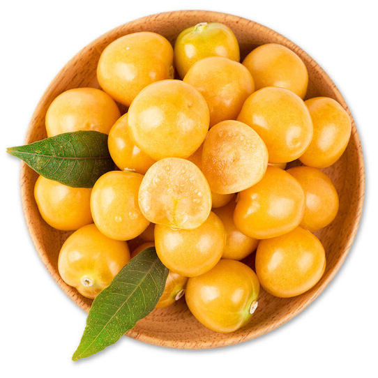 云南姑娘果1斤装新鲜当季整箱灯笼果黄菇娘洋姑娘果大果甜菇凉