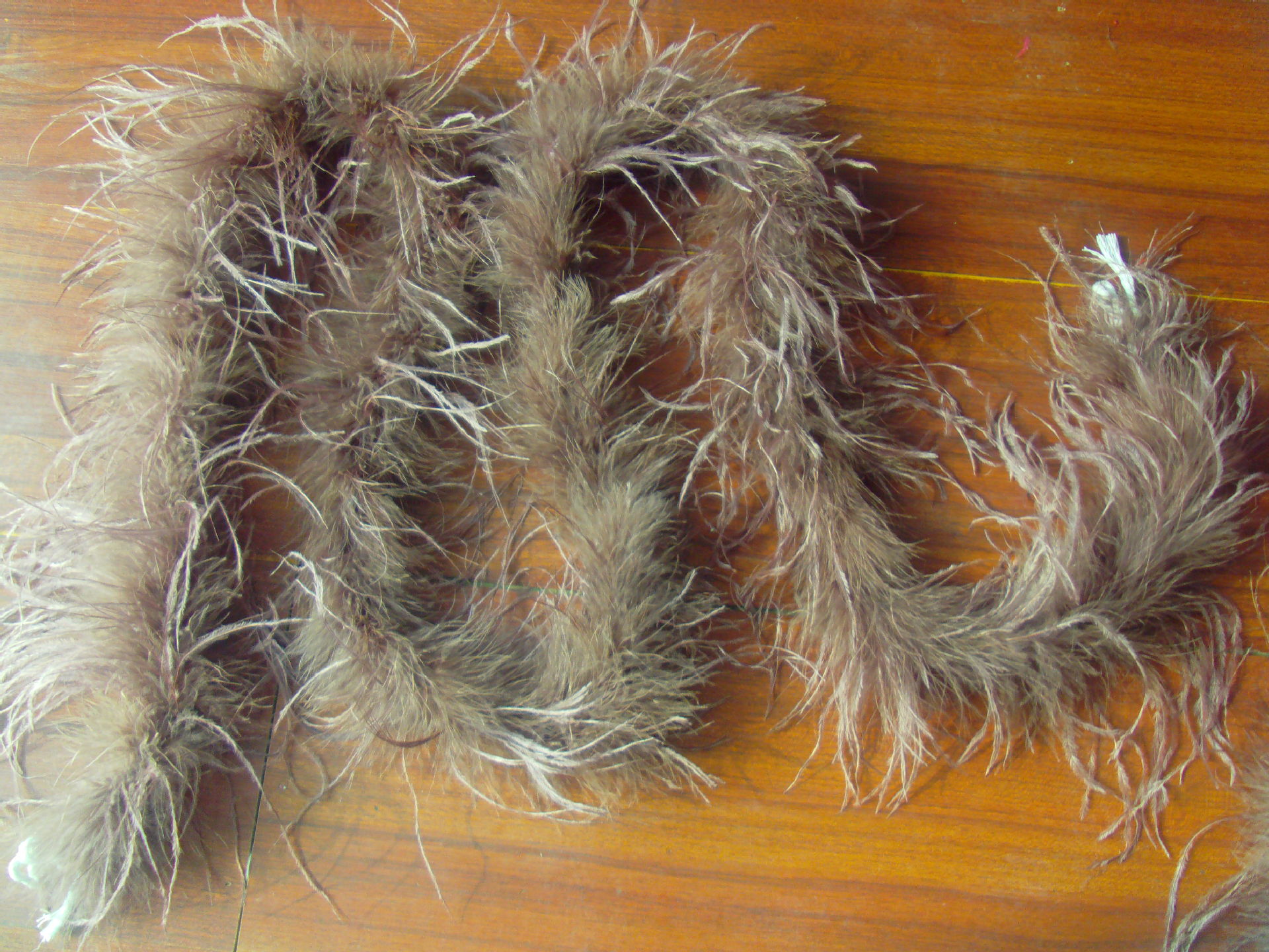 毛条厂家鸵鸟毛15-20cm鸵鸟羽毛装饰南非鸵鸟毛布带非洲鸵鸟羽毛