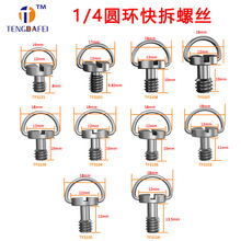 1/4快拆螺丝不锈钢碳钢摄影器材1/4相机机圆环螺丝三脚架摄影配件