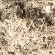 云南甘蔗渣，供应大棚蔬菜育苗，食用菌种植原料，肥料厂