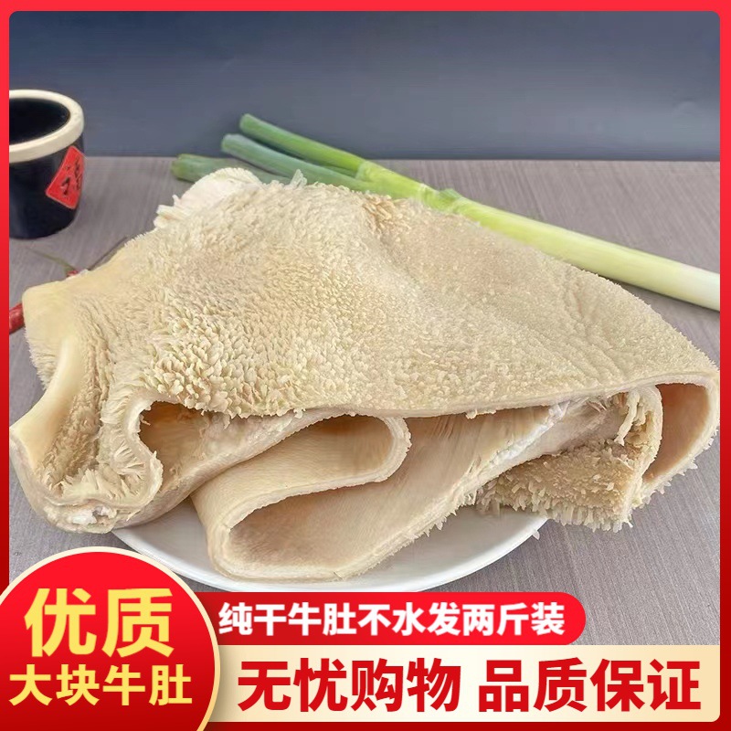牛肚子4斤半成品火锅食材纯干不水发大块金钱肚整块黄牛肚精品