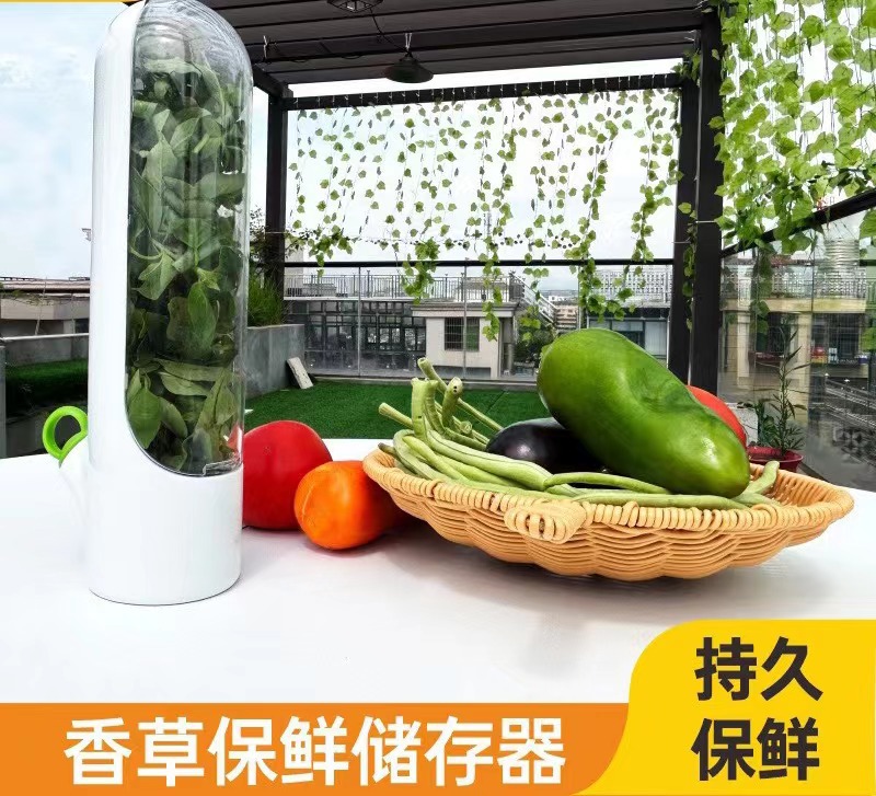 新款跨境香草香菜保鲜盒创意厨房小用具亚马逊笋竹保鲜器
