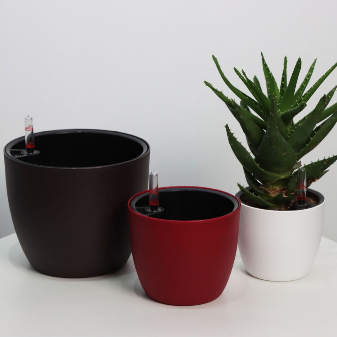 S35 Direct Supply Lazy Flower Pot round Simple Desktop Balcony Resin Self-Absorbent Lazy Flower Pot Wholesale