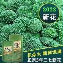 2022三七花头茬新花四年100g500g批发云南文山厂家三七花茶田七花