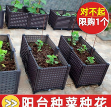 楼顶种菜箱泡沫塑料花盆家用阳台种菜盆室内蔬菜种植箱大花箱