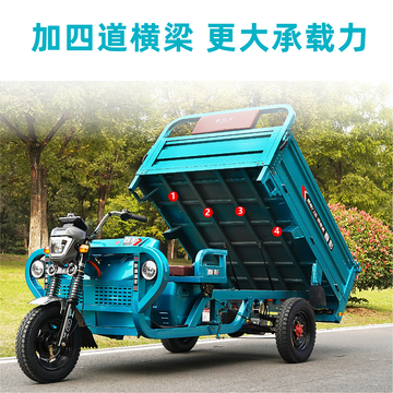 ly电动三轮车货车摆摊拉货载重王农用家用货运大功率三轮电瓶