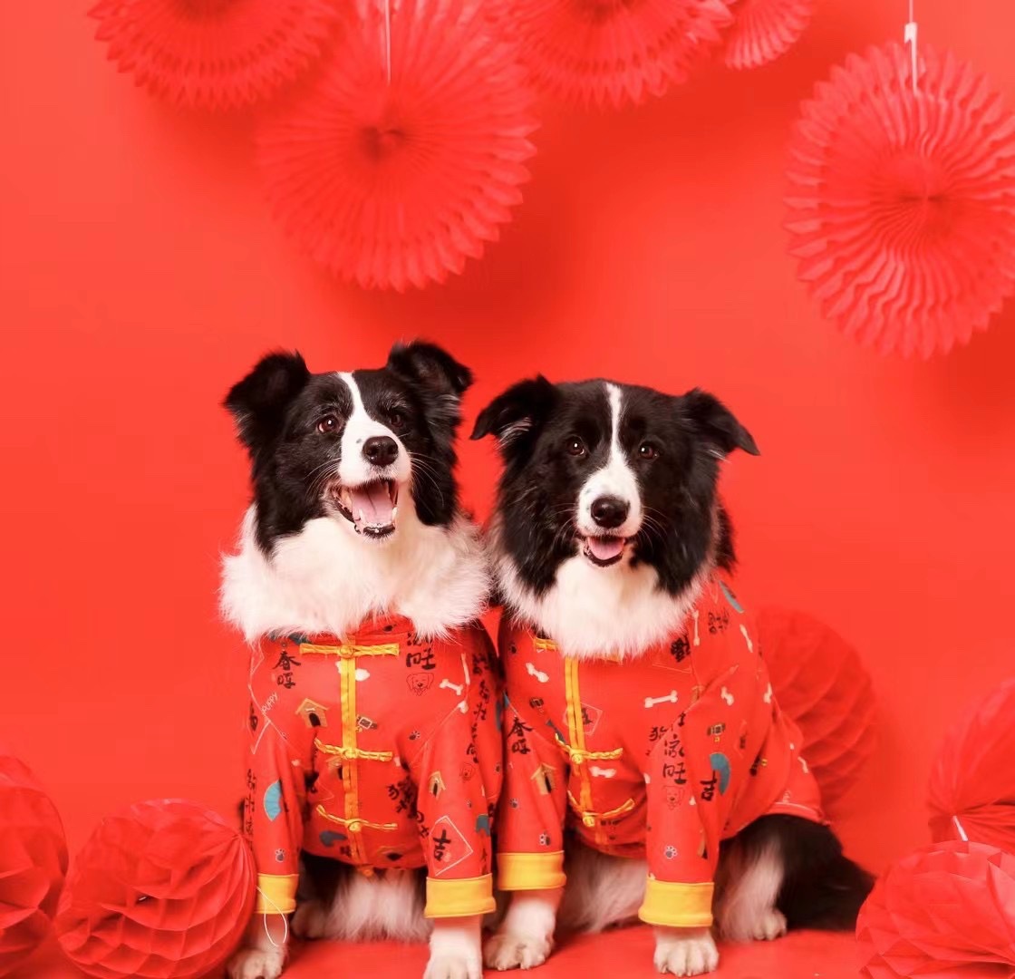家 宠物狗狗中大型犬柯基新年装 狗狗中式唐装拜年服棉袄现货