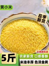 黄小米新米有5斤真空小黄米农家米脂月子米五谷杂粮糯小米早餐米