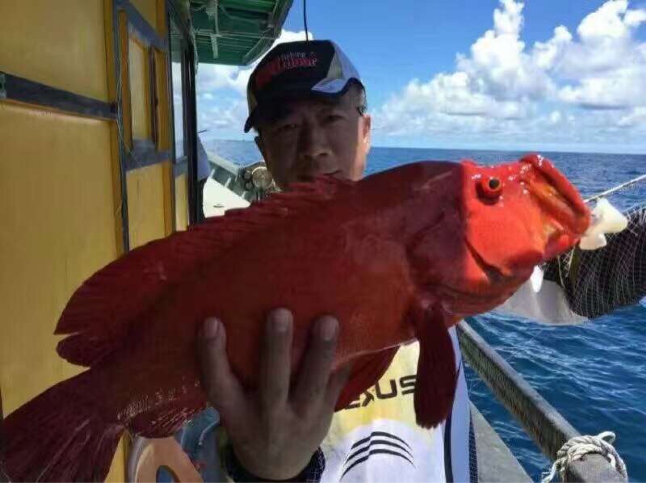 大量供应海钓红瓜子斑,西沙红瓜子鱼,婚宴红斑鱼,喜庆