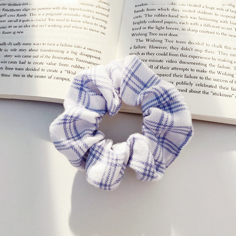 Intestine Hair Rope Pork Intestine Hair Band Female Ins Internet Celebrity Hair Band Simple Elegant French Large Intestine Ring Hair Accessories