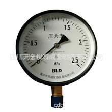 供应布莱迪普通压力表Y-100水压表0.25mpa液压表油压表径向型