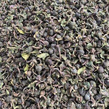 福建高山日晒小菜茶茶籽-阿里巴巴