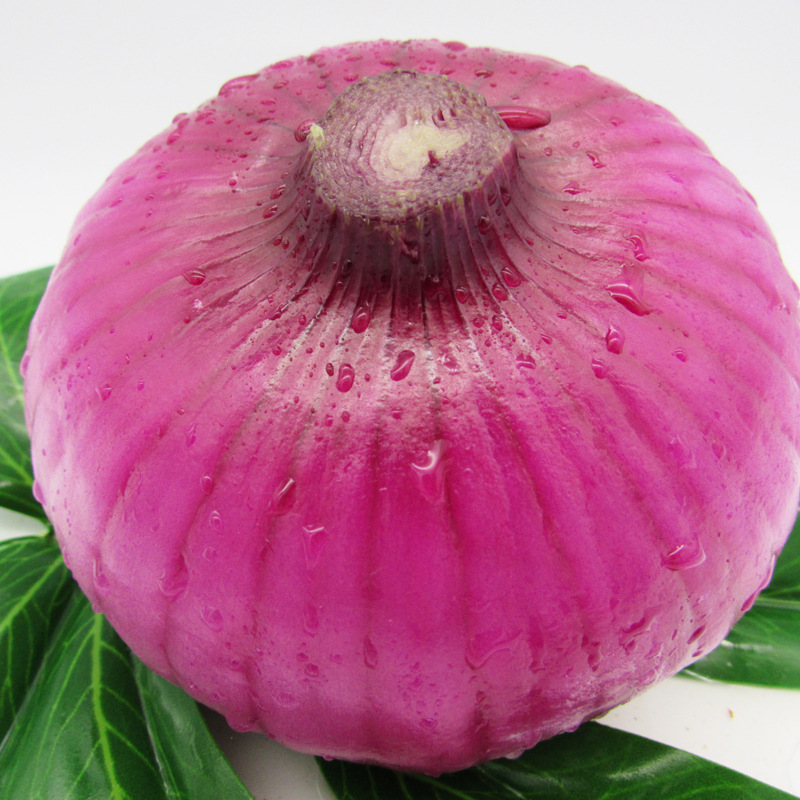 9斤热卖月份全年包装系列简装系列包装方式食用农产品品种红皮洋葱