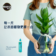 批发美乐棵水培植物营养液观音竹富贵竹郁金香铜钱草肥料通用