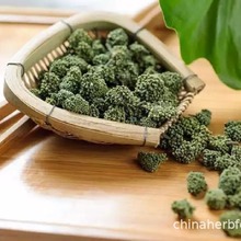 五年三七花当季头茬新花 云南文山特产正品三七珍珠花