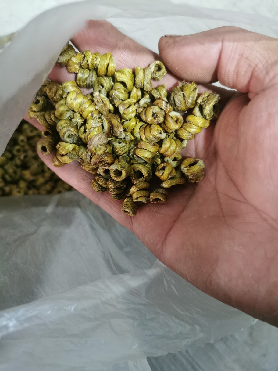 霍山石斛角尾斛正宗霍山县产地石斛铁皮石斛安徽霍山县-阿里巴巴