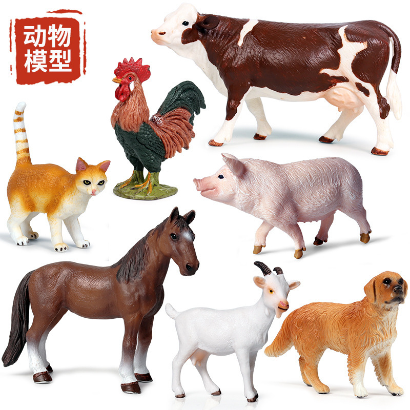 小母牛西门塔尔牛