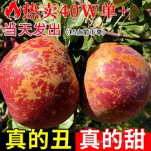 云南昭通市丑苹果冰糖心苹果新鲜水果当季整箱年货红富士萍果