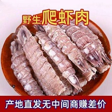 皮皮虾新鲜即食皮皮虾肉冷冻虾爬子濑尿虾姑肉琵琶虾熟冻生冻鲜活