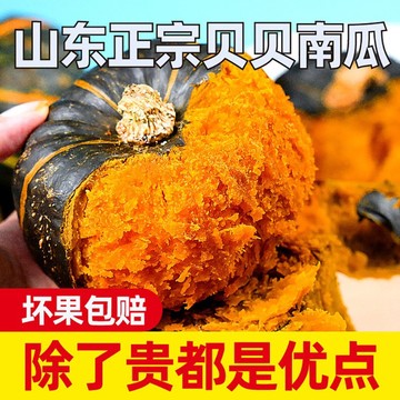 正宗贝贝板栗南瓜新鲜肥减代5斤贝贝南瓜农家自种婴儿辅食瓜-阿里巴巴