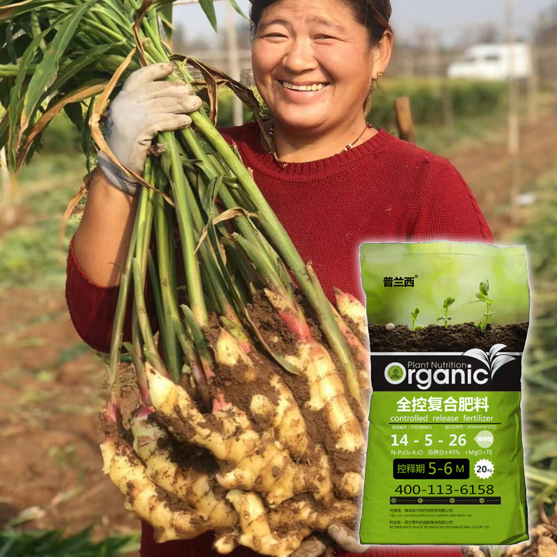 氮磷钾复合控释肥平衡型 荷兰进口化肥14-14-14平衡型化肥-阿里巴巴