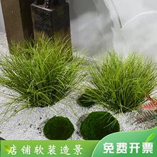 仿真草团蒲草装饰摆件地皮草狗尾草芦苇花室内假绿植软装苔藓造景