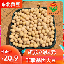 【5斤】新货散装东北农家自种土特产批发大圆黄豆打豆浆非转基因