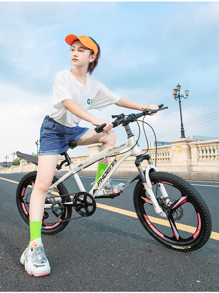 凤凰乐途182022山地车轻便自行车学生成人自行车山地车