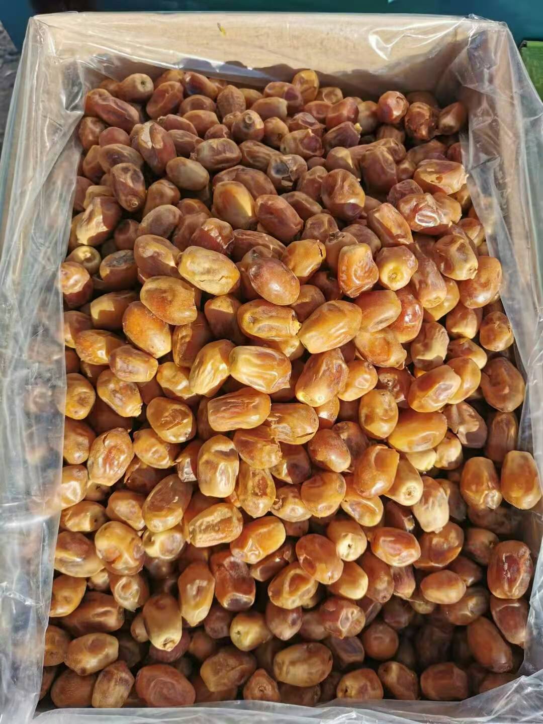 沙特阿拉伯椰枣阿联酋黑椰枣伊朗椰枣休闲零食沙特黑椰枣散装批发