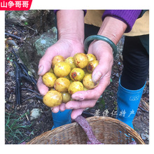 250g浦城南酸枣糕农家手工自制野酸枣饼孕妇零食山枣糕角福建特产