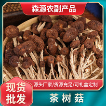 云南特色茶树菇优质美味茶树菇干货野生菌源头基地直供散装
