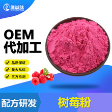 树莓粉 99% 覆盆子粉 果粉量大从优 现货 SC厂家 果粉系列 树莓粉