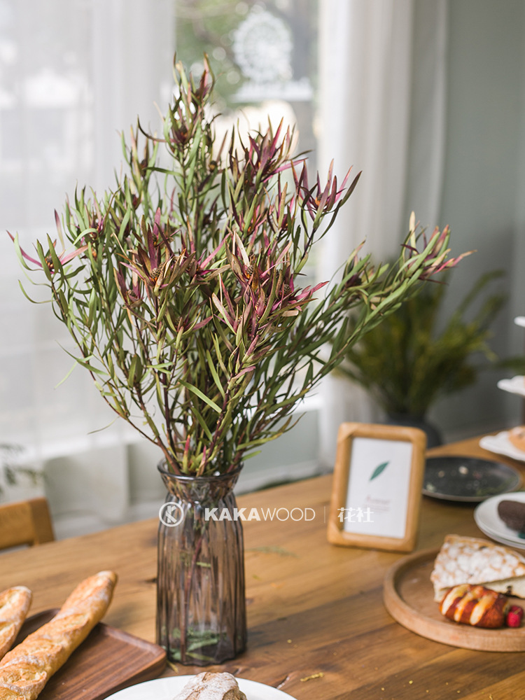 进口干花花束木百合天然紫绿色家居软装插花配花装饰花细叶木百合