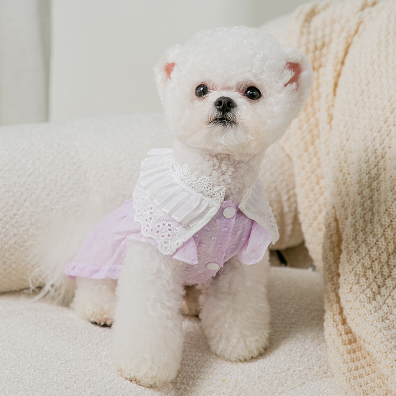 Spring and Summer Puppy Dog Small and Medium-Sized Dogs Lace Peter Pan Collar a Swing Small Skirt Cat Dress Pet Dog Clothes