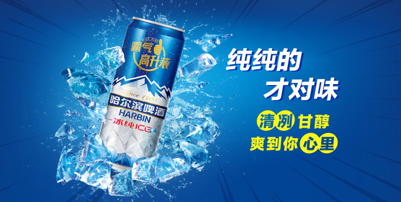 哈尔滨啤酒哈啤冰纯拉罐500ml 300ml 330ml 新老包装随机发货