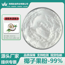 椰子粉99% 椰子果汁粉 椰子原粉 果粉 量大从优 资质齐全 现货