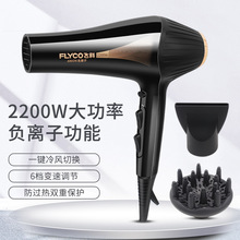 飞科（FLYCO）电吹风 大功率负离子 家用旅行发廊吹风机FH6101