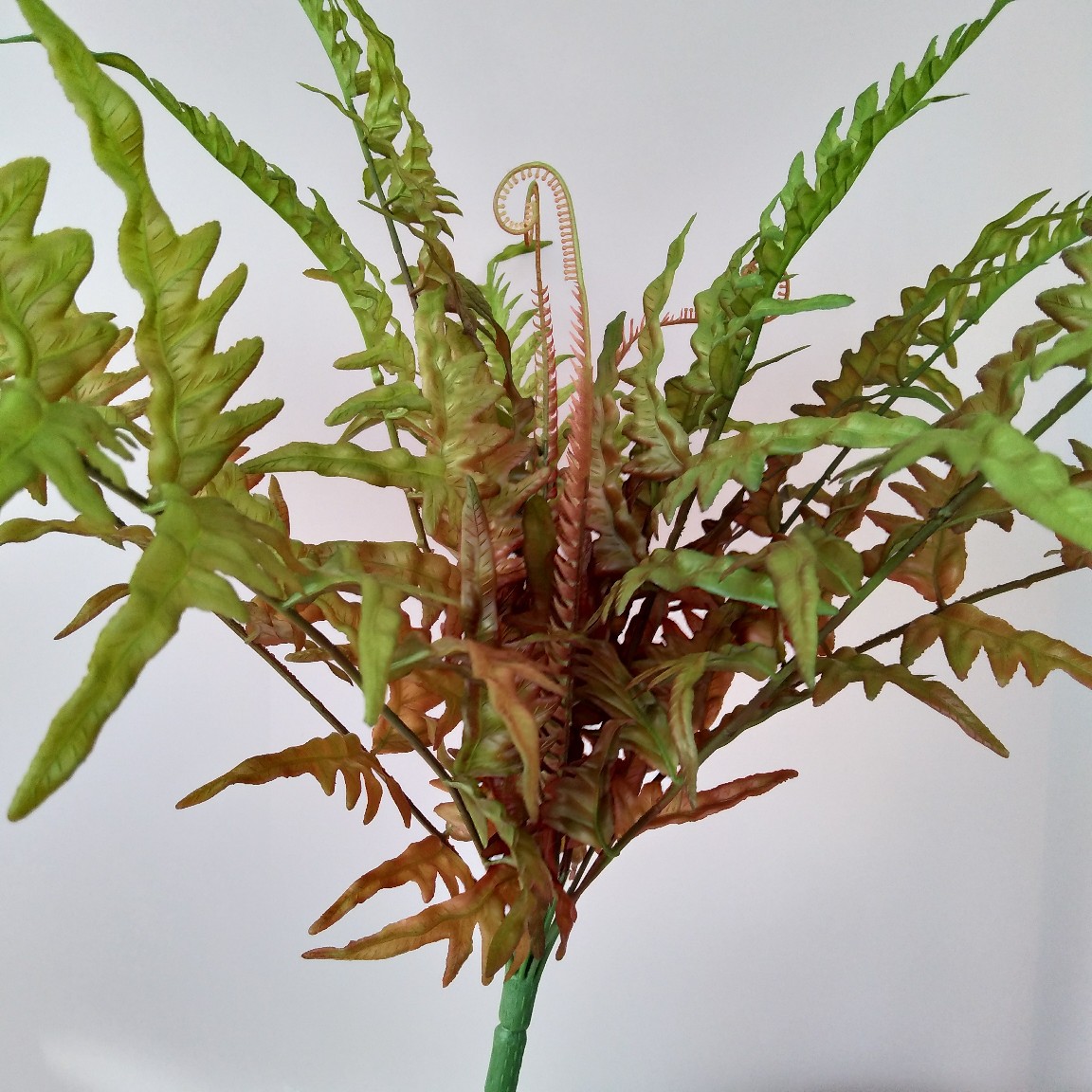 仿真植物软胶草水蕨金丝厥凤尾蕨新中式家居样板间酒店装饰把束叶