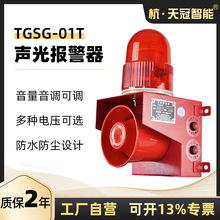 TGSG-01T多功能声光报警器 可调一体化声光报警器 室外 车间 220v
