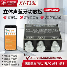 XY-T30L 蓝牙数字功放板模块2.0立体声双声道30W*2带高低音调节