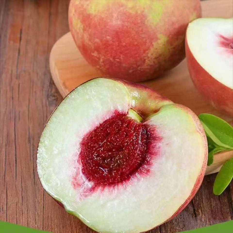 高山露天种植四川攀枝花冬桃桃子非鹰嘴桃5斤新鲜水果